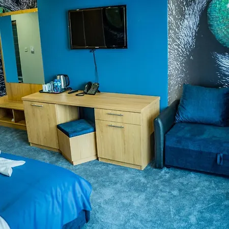 Impuls ヴィディン