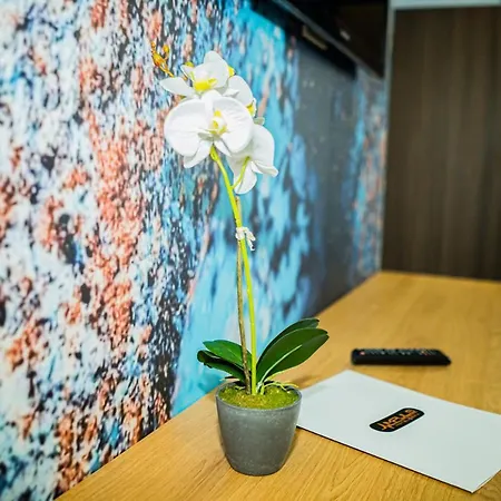 Impuls ホテル ヴィディン