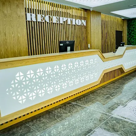 Impuls ヴィディン