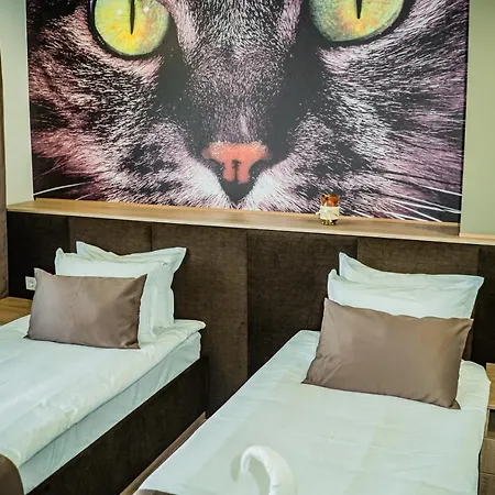 Impuls ヴィディン