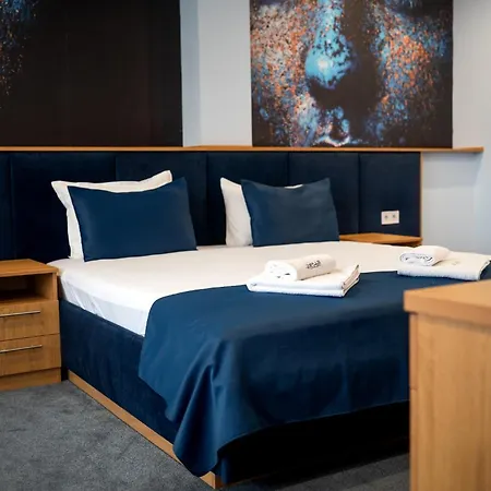 Impuls ヴィディン