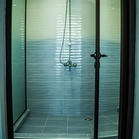 Impuls ヴィディン